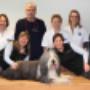 Dierenkliniek Winsum / Dierenartsenpraktijk N W Groningen