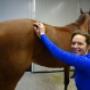 Dierenkliniek Winsum / Dierenartsenpraktijk N W Groningen