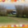 Schelp Camping De