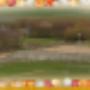 Schelp Camping De