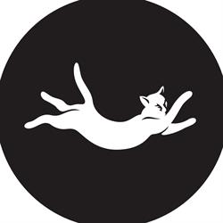 Critical Alignment - Yoga en Therapie
