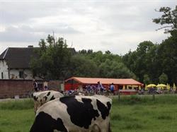 Wingbergerhoeve