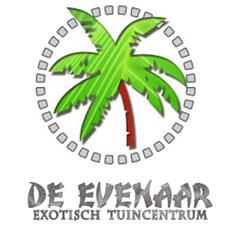 De Evenaar
