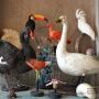 Door een bezoeker 05-08-2015 geüpload - De Museumwinkel.com