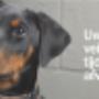 Dierenpension Westerschelde