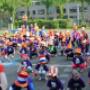 KSU-Katholieke Scholenstichting Utrecht