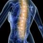 Chiropractie Holystaete