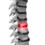 Chiropractie Holystaete