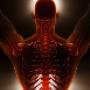 Chiropractie Holystaete