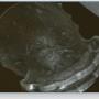 Tandtechnisch Laboratorium Dental Dokkum