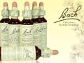 Bach-remedie