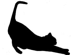 Kattenoppasdienst Amsterdam