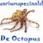 Aquariumspeciaalshop De Octopus
