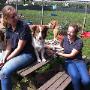 Gedreven personeel met oog voor aandacht