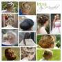 Collage kapsels