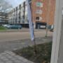 Academia vlag