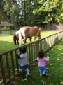 Kinderdagverblijf hele en halve dagopvang
