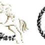 RuiterHart Uw ruitersportspecialist