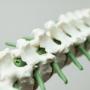 Osteopathie Armhoefse Praktijk Ben van Esch