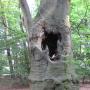 Door een bezoeker 09-04-2016 geüpload