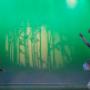 Dansstudio Andrea Meyer-Rogge