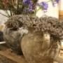 Agave Natuurlijk Wonen De