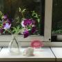 Loopbaanbegeleiding Utrecht