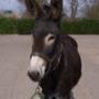 Dierenkliniek Oirschot
