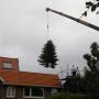 Hoveniersbedrijf BART