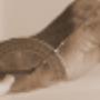 Scholte & Schop Fysiotherapiepraktijk