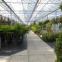 Tuincentrum Beuken A vd