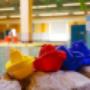 Microsporthal Brakel