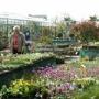 Venhorst & Zn Plantencentrum Berkenhof Louis