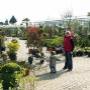 Venhorst & Zn Plantencentrum Berkenhof Louis