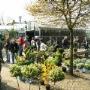 Venhorst & Zn Plantencentrum Berkenhof Louis