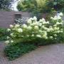 Hoveniersbedrijf Paul Wilms Floet
