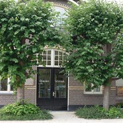 Dap Amstel, Vecht & Venen