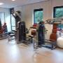 Kats Tjamme Oefentherapie Cesar