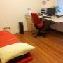 Kats Tjamme Oefentherapie Cesar