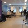 Kats Tjamme Oefentherapie Cesar