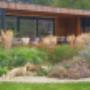Buro Collou tuin