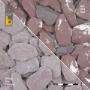 Canadian slate plum