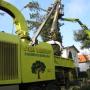 Versteeg Boomverzorging