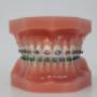 Orthodontistenpraktijk Bredeweg