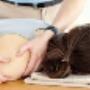 Fysiotherapie Van Kuppenveld