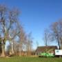 ARBOR Boomspecialisten