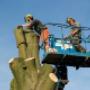 ARBOR Boomspecialisten
