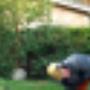 ARBOR Boomspecialisten