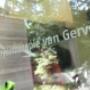 Fysiotherapie en Manuele Therapie B A J van Gerven