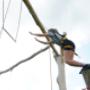 Groepsaccommodatie Gelders Groenland